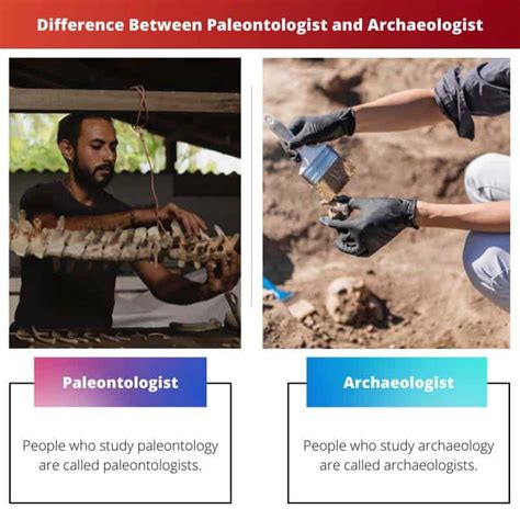 difference between archaeologist and paleontologist.